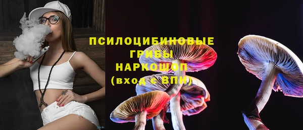 хмурый Алексин