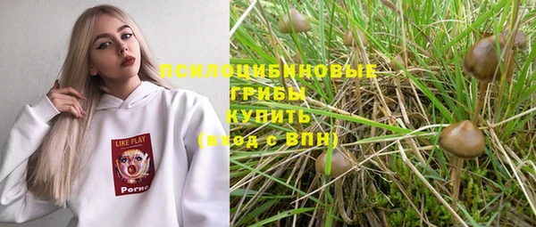 бошки Алзамай