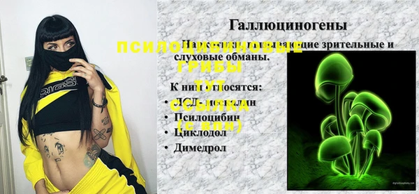хмурый Алексин