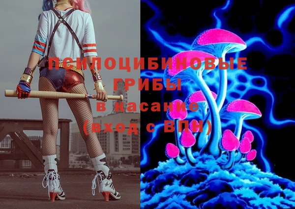 хмурый Алексин